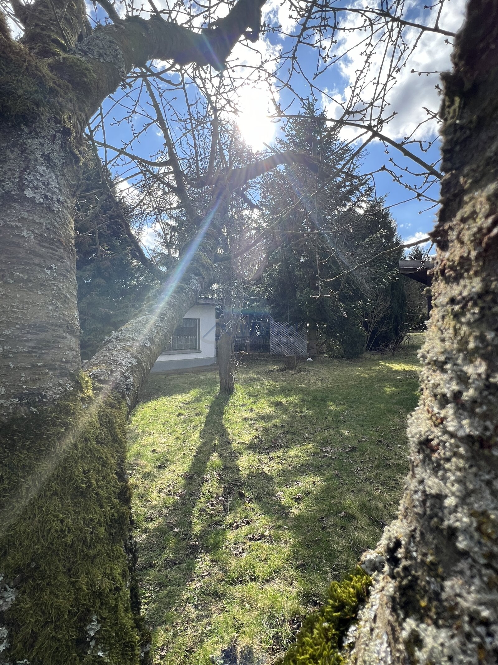 Erfurt: Jetzt wird´s Frühling! Gartengrundstück in schöner Lage  Erfurt: Jetzt wird´s Frühling! Gartengrundstück in schöner Lage