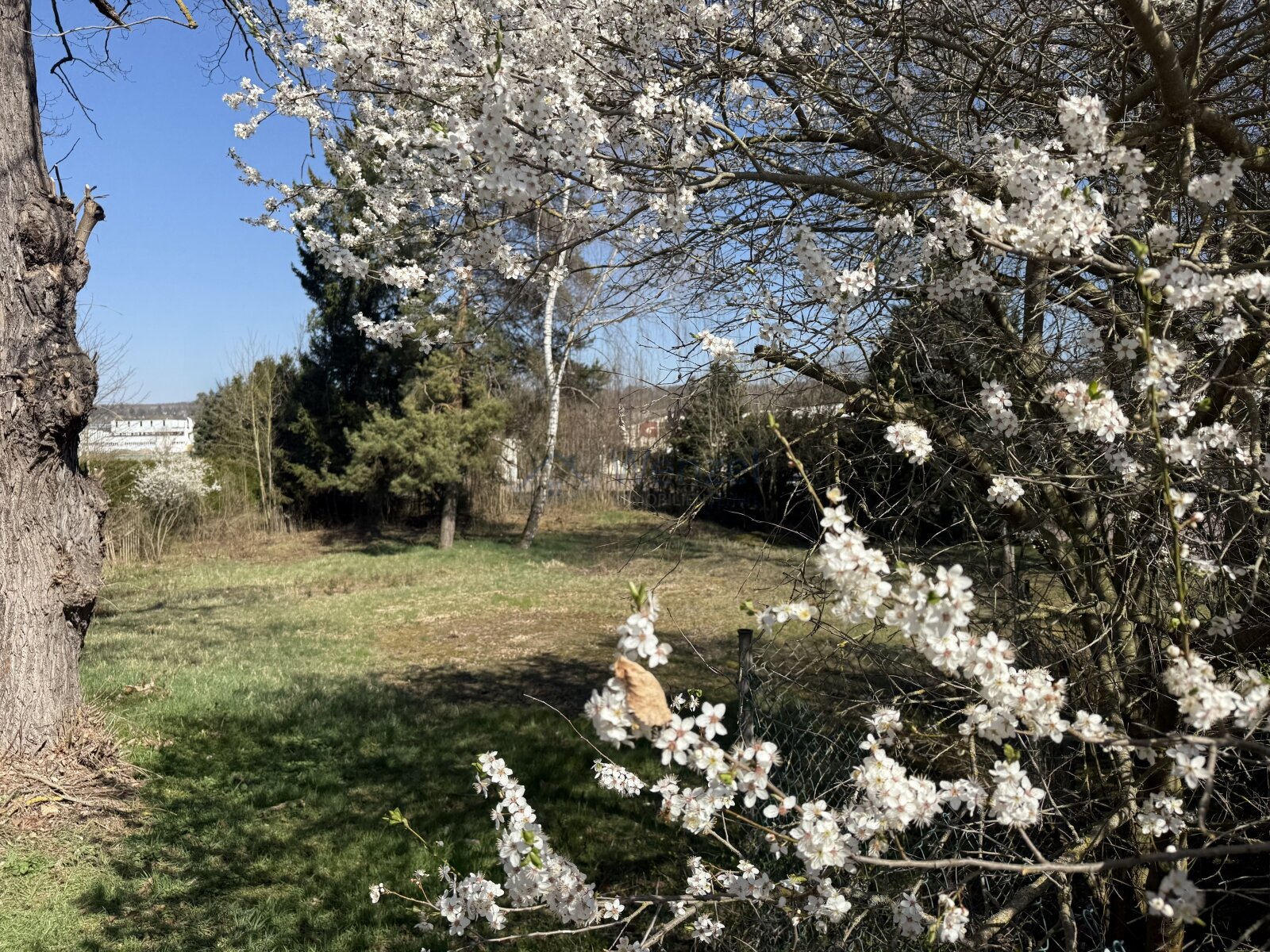Idyllisches Baugrundstück in begehrter Lage