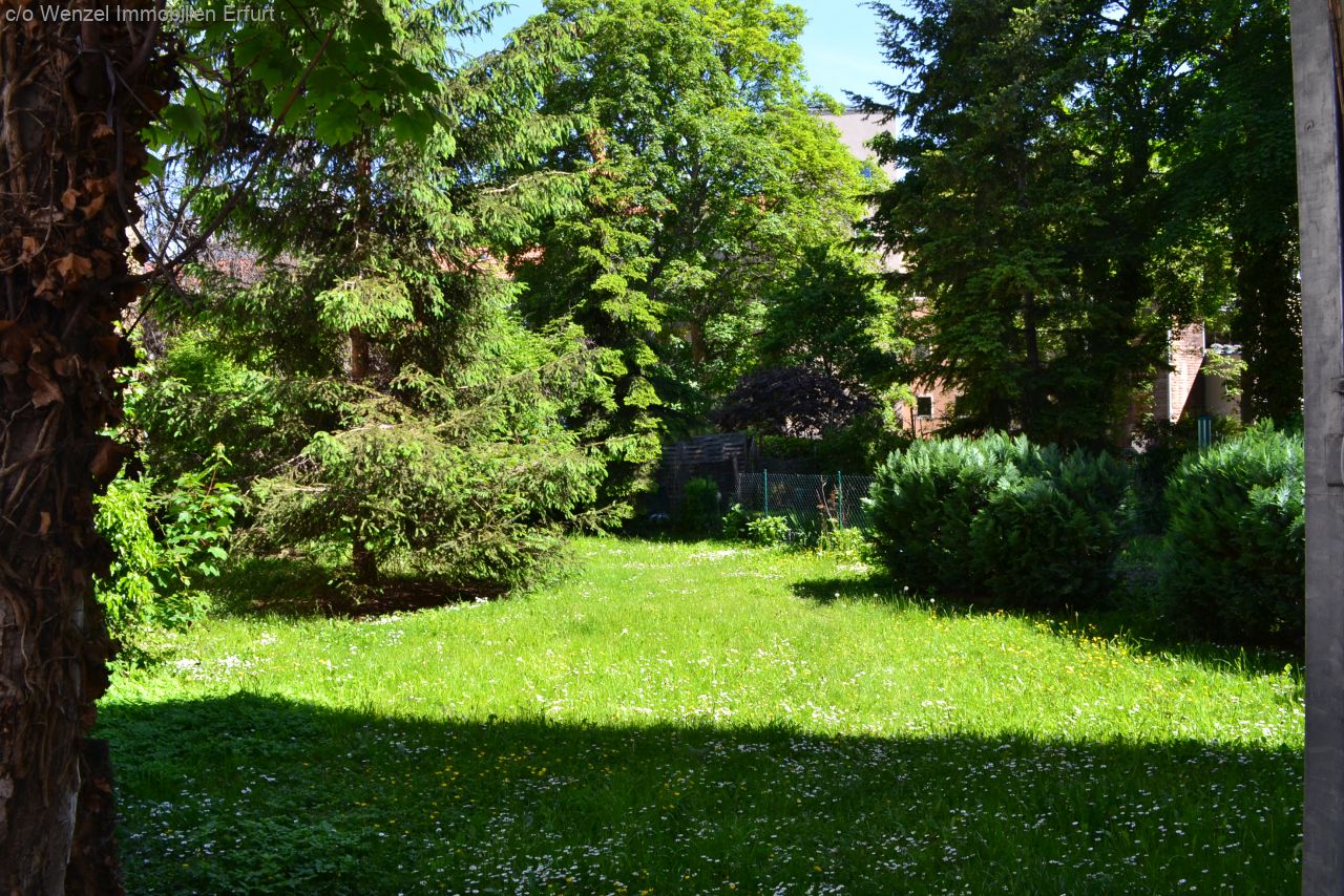 Hausgarten Hausgarten