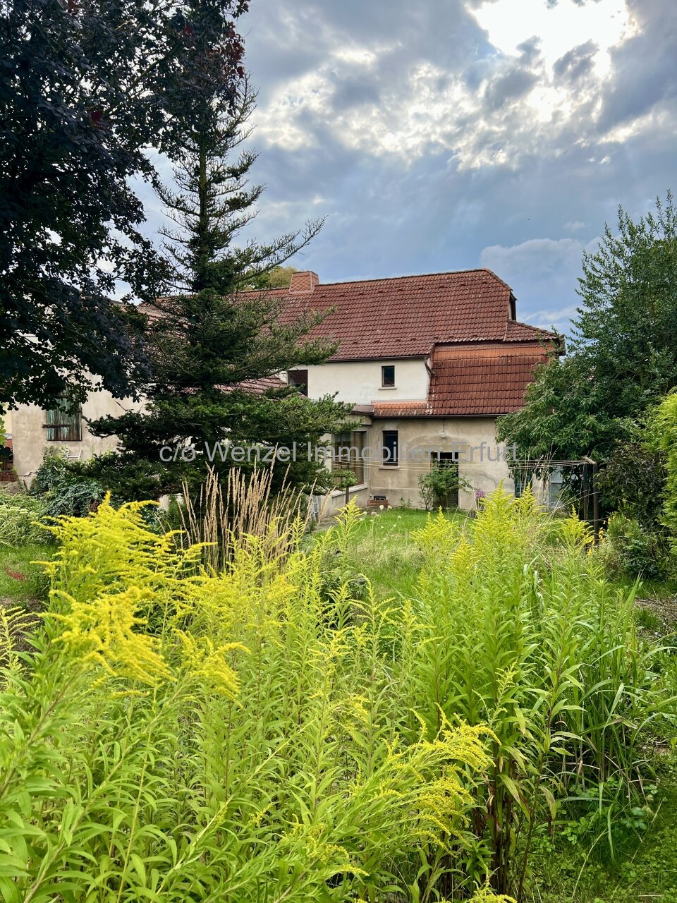 Gartenansicht