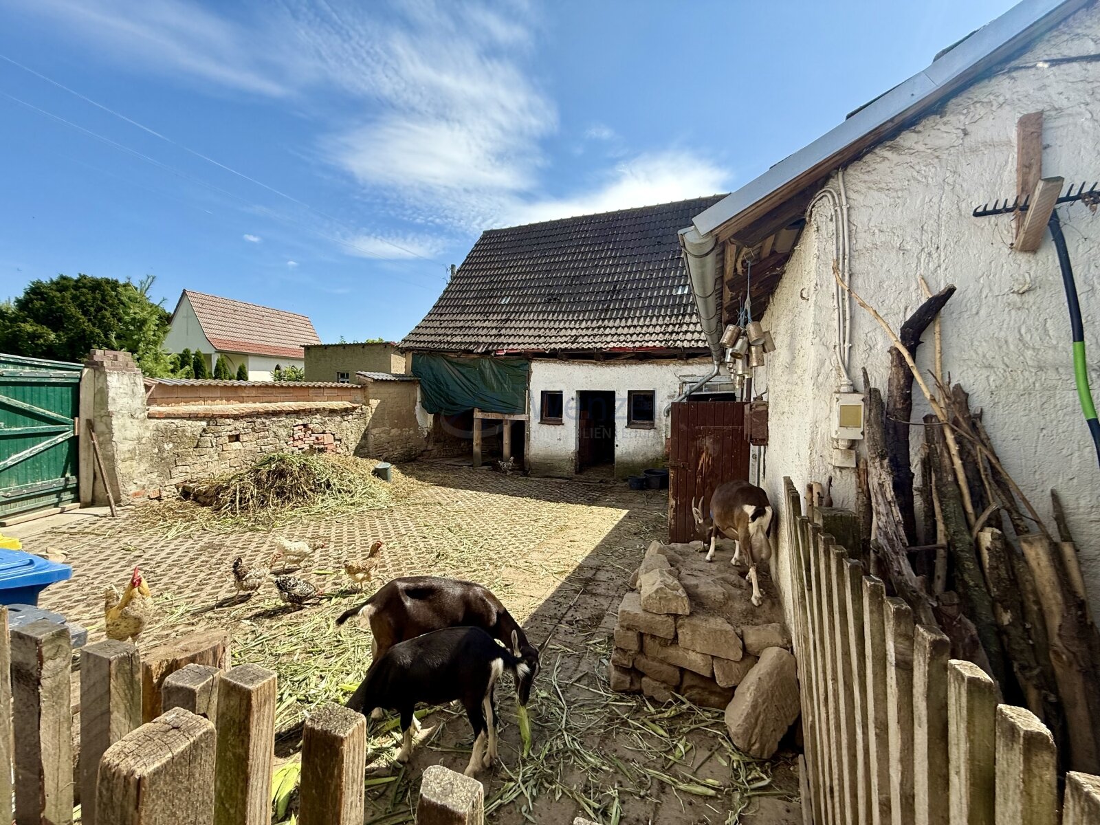 Hof mit Blick zur Scheune und den Hausziegen Hof mit Blick zur Scheune und den Hausziegen